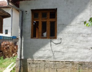 Maison 3 chambres à vendre dans Cluj-napoca, zone Dambul Rotund