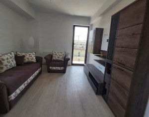 Appartement 2 chambres à louer dans Cluj-napoca, zone Borhanci