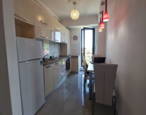 Appartement 2 chambres à louer dans Cluj-napoca, zone Borhanci