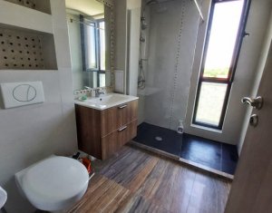 Appartement 2 chambres à louer dans Cluj-napoca, zone Borhanci