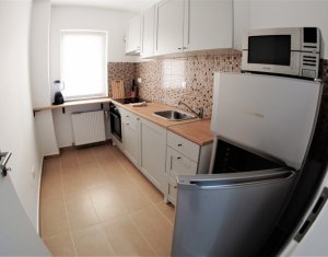 Appartement 2 chambres à louer dans Cluj-napoca
