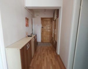 Appartement 2 chambres à louer dans Cluj-napoca, zone Intre Lacuri