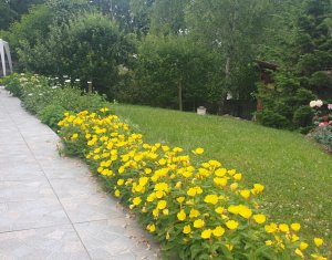 Ház 5 szobák eladó on Cluj-napoca, Zóna Andrei Muresanu