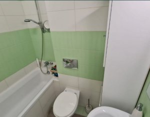 Appartement 2 chambres à louer dans Cluj-napoca, zone Manastur