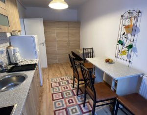 Lakás 1 szobák kiadó on Cluj-napoca, Zóna Bulgaria