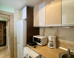 Appartement 1 chambres à louer dans Cluj-napoca, zone Centru