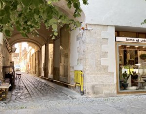 Appartement 1 chambres à louer dans Cluj-napoca, zone Centru