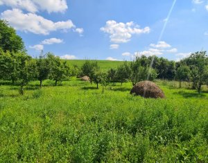 Ház 3 szobák eladó on Barai