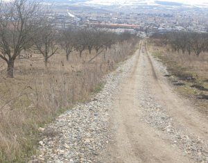 Terrain à vendre dans Cluj-napoca, zone Iris