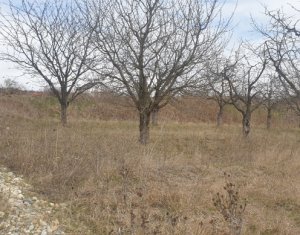 Terrain à vendre dans Cluj-napoca, zone Iris