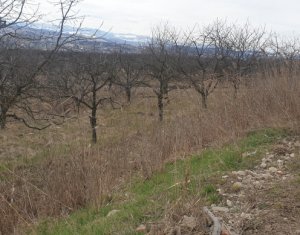 Terrain à vendre dans Cluj-napoca, zone Iris