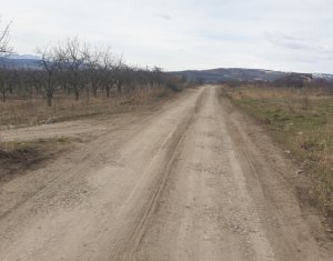 Terrain à vendre dans Cluj-napoca, zone Iris