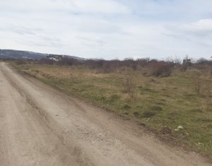 Terrain à vendre dans Cluj-napoca, zone Iris