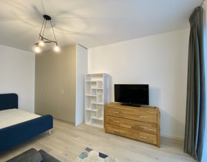 Appartement 1 chambres à louer dans Cluj-napoca, zone Centru