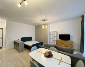 Appartement 1 chambres à louer dans Cluj-napoca, zone Centru