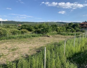 Terrain à vendre dans Cluj-napoca, zone Buna Ziua
