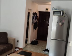 Studio à vendre dans Cluj-napoca, zone Gruia