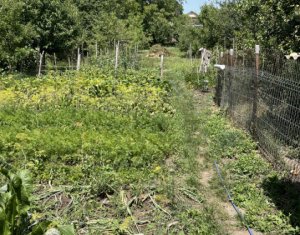 Ház 4 szobák eladó on Cluj-napoca