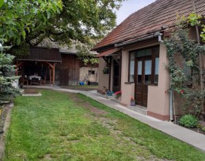 Ház 2 szobák eladó on Gilau