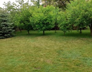 Ház 2 szobák eladó on Gilau