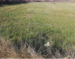 Telek eladó on Pata