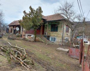 , 83m2 dans Macicasu