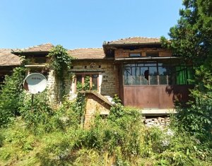 Maison 4 chambres à vendre dans Macicasu