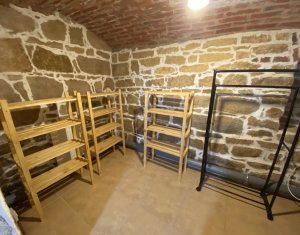 Lakás 2 szobák kiadó on Cluj-napoca, Zóna Centru