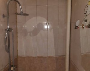 Appartement 1 chambres à vendre dans Cluj-napoca, zone Gruia