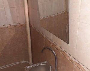 Appartement 1 chambres à vendre dans Cluj-napoca, zone Gruia
