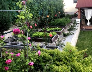 , 175m2 on Cluj-napoca, Zóna Dambul Rotund