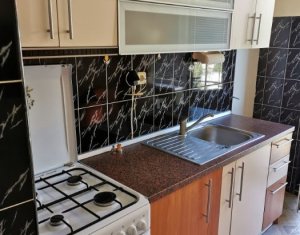 Appartement 2 chambres à louer dans Cluj-napoca, zone Gruia