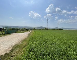 , 2900m2 dans Floresti