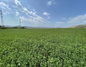 Telek eladó on Floresti