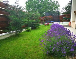 Ház 4 szobák eladó on Cluj-napoca, Zóna Dambul Rotund