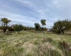 Ház 4 szobák eladó on Tureni