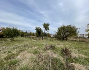 Ház 4 szobák eladó on Tureni