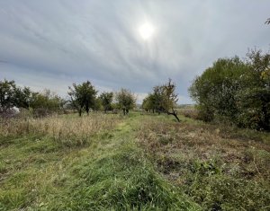 Ház 4 szobák eladó on Tureni