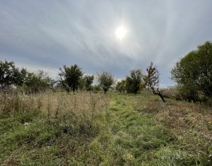 Ház 4 szobák eladó on Tureni