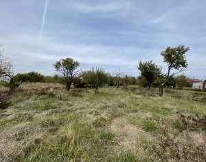 Ház 4 szobák eladó on Tureni