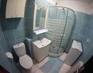Appartement 1 chambres à louer dans Cluj-napoca, zone Gheorgheni