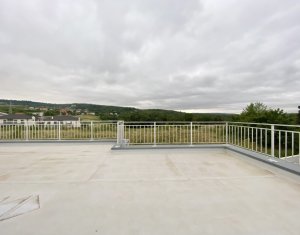 Maison 5 chambres à louer dans Cluj-napoca, zone Faget