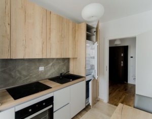 Appartement 2 chambres à louer dans Cluj-napoca, zone Gheorgheni