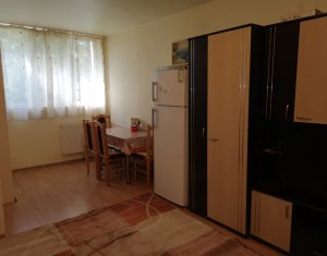 Studio à louer dans Cluj-napoca, zone Grigorescu