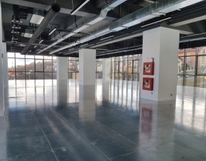 Birou open space, cladire Business Center zona Tetarom I