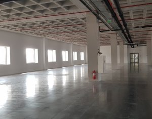 Birouri moderne 1230mp, zona Leroy Merlin Calea Turzii  