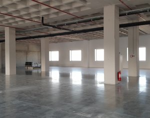 Birouri moderne 1230mp, zona Leroy Merlin Calea Turzii  