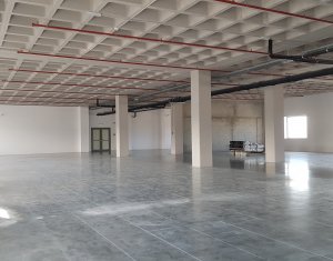Birouri moderne 1230mp, zona Leroy Merlin Calea Turzii  