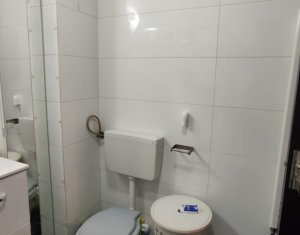 Appartement 3 chambres à louer dans Cluj-napoca, zone Iris