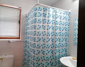 Appartement 1 chambres à louer dans Cluj-napoca, zone Zorilor